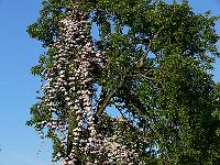 09-06-2006_19-12-45_69