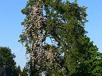 13-06-2006_20-47-19_13