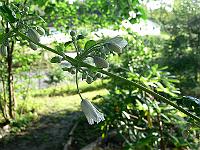 2011-08-28_08-05-05_0030