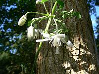 2011-08-31_08-58-56_0086