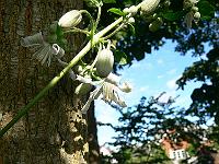 2011-08-31_08-59-17_0089