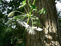 2011-09-01_09-00-11_0013