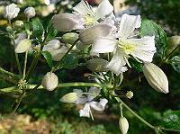 2011-09-16_07-51-38_0014