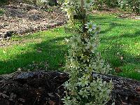 2011-04-22_14-36-46_0034