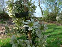 2011-04-22_14-36-58_0037