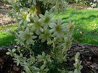 2011-04-22_14-37-07_0040