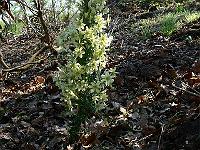 2011-04-24_13-53-29_0076