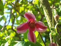 04-07-05kodak_295