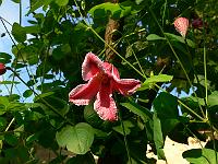 08-07-2006_19-49-14_08
