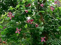 2008-06-30_15-00-43_0092