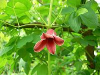 29-06-2006_13-07-04_103