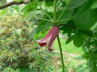 29-06-2006_13-07-08_104