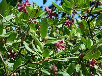 31-07-2007_15-48-10_85