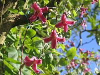 copy_of_250804_006