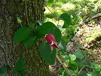 2010-07-27_14-39-12_0015