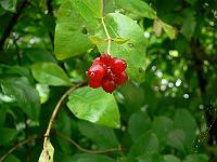 01-09-2006_15-39-50_26