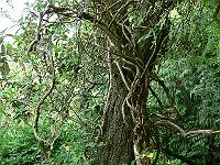 07-08-2006_11-45-40_15