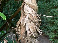 18-09-2006_16-48-56_20