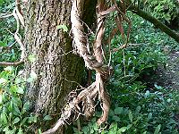 18-09-2006_16-48-59_21