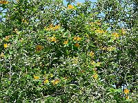 09-06-2007_10-51-26_142