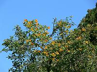 2009-06-22_10-40-54_0112