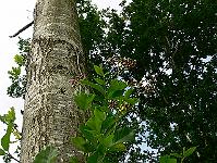 2010-07-09_08-57-34_0154