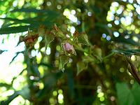 2010-06-20_08-35-58_0047