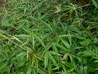 2010-06-26_13-46-55_0080