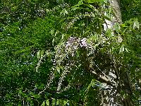 2011-05-15_08-18-53_0019