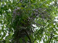 2011-05-16_08-16-00_0015
