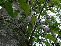 2011-05-16_08-16-41_0020