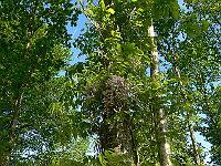 2011-05-19_07-48-11_0002