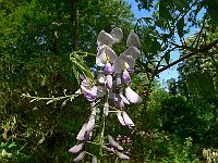 2011-05-19_07-48-33_0008