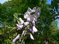 2011-05-19_07-48-45_0012