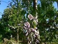 2011-05-19_07-48-54_0014