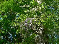 2011-05-19_07-49-15_0017