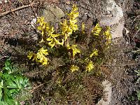 05-04-2007_13-03-14_29