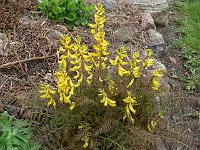 08-04-2007_09-30-44_22