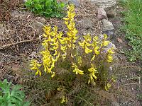 08-04-2007_09-30-47_23