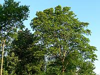 2008-05-22_04-57-39_0100