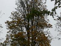 2008-11-05_11-29-17_0108