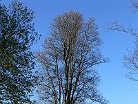 2009-04-19_17-22-23_0028