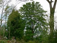 2009-05-04_09-34-16_0096