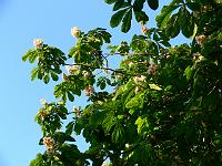 2008-05-22_04-57-39_0145