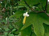 2009-07-14_09-07-37_0071