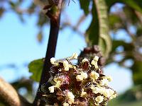 2009-05-24_18-40-29_0048