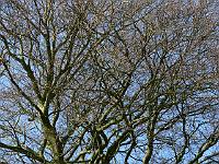 2009-04-12_09-31-56_0134