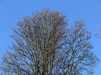 2009-04-19_17-22-12_0026