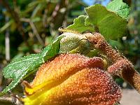 2008-05-23_08-57-26_0031