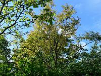 2009-06-16_08-59-17_0145